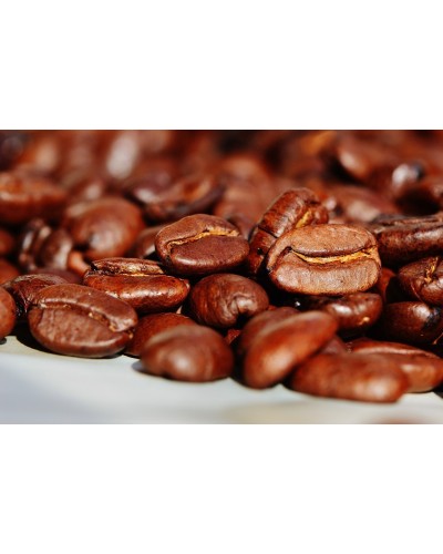 Capuchino | CAFÉS |